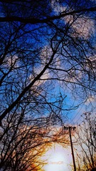 R0016930-2_副本.jpg