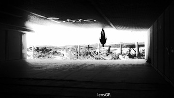 R0016956_副本.jpg