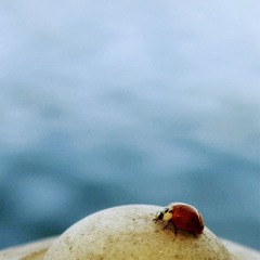 R0010062_副本.jpg