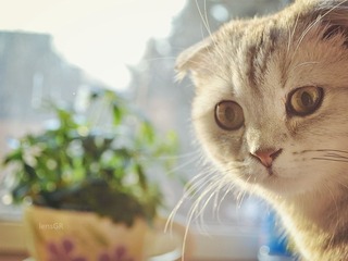 DSC_0033-2_副本.jpg