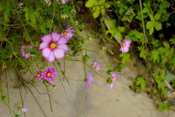 B475AB5C-F2D8-4447-83AB-1171E9D7D335/L0/001