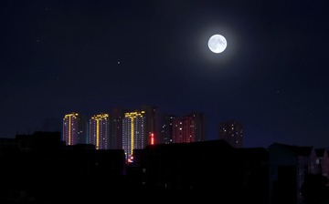 20119