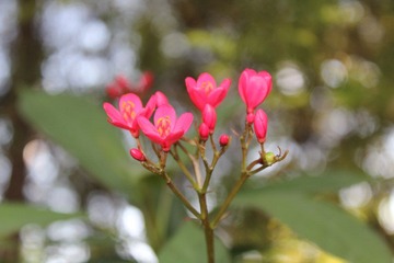 向上