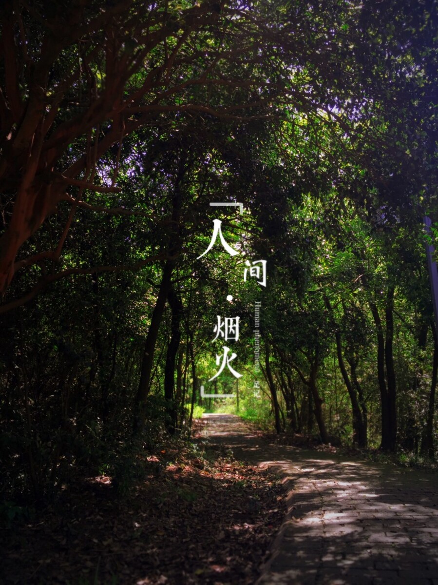 长沙.宁乡.童牧谷，公司聚会，手机随拍。