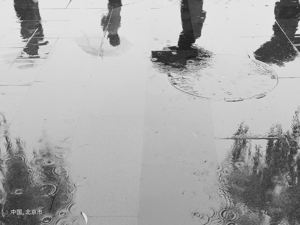 雨中倒影