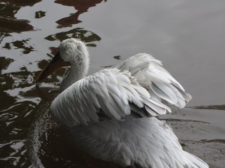 IMG_1777.JPG