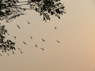 IMG_2411.JPG