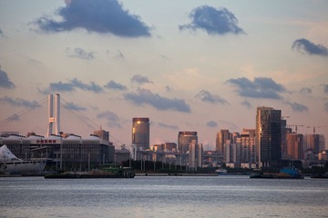 IMG_5423.jpg