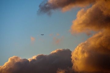 IMG_5428.jpg