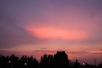 123014