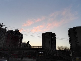 281028