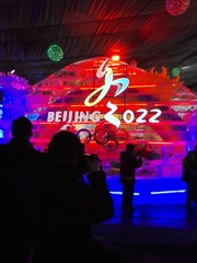 281033