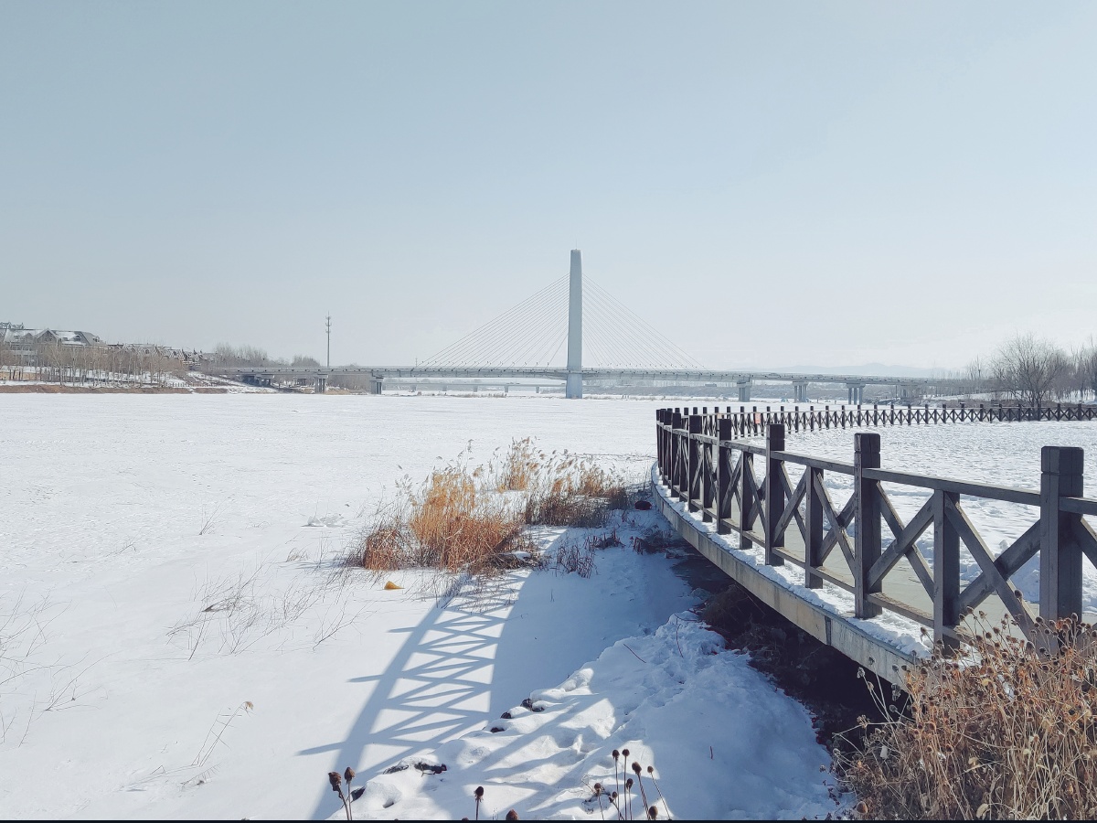 海城冬雪后的杨柳河