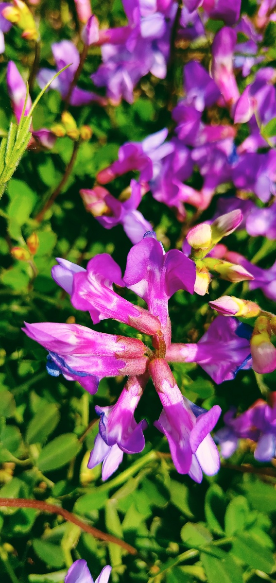 568_1200竖版 竖屏