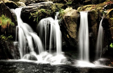 IMG_4727.jpg