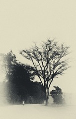 P3220108