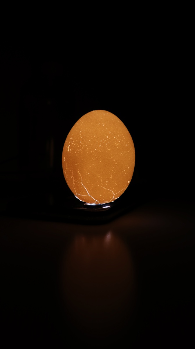 鸡蛋壳里的宇宙如果月亮太远那就化作星辰围绕在身边