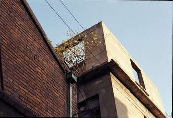 20111211-Untitled-6.jpg