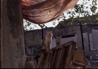 20111211-Untitled-12.jpg