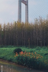 859E9905-3223-4084-ADB3-01AB9B88385E/L0/001