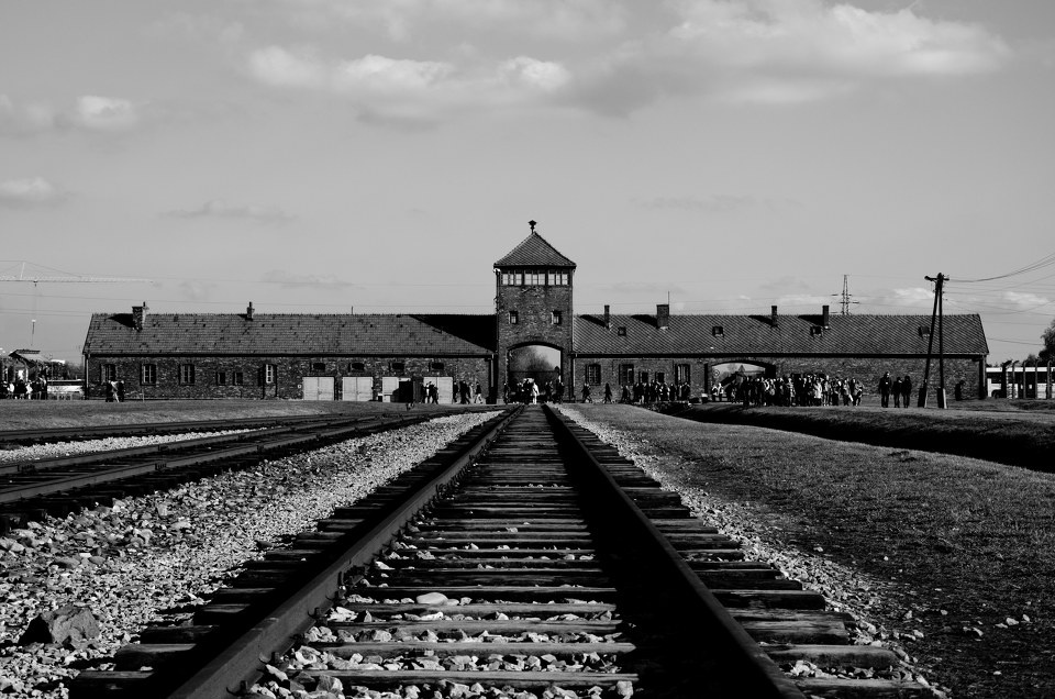 3829644.jpg