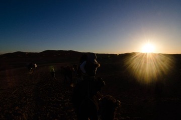 DSC_3313.jpg