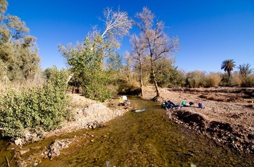 DSC_3417.jpg