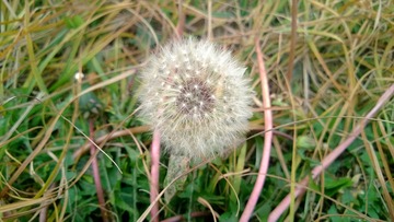 WP_20131105_09_56_42_Pro