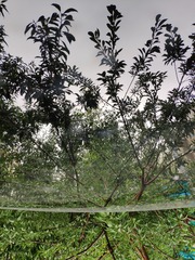 IMG_20180820_164148