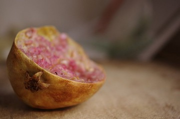 _IGP9103.JPG
