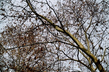 54220027.JPG