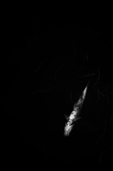 _IGP5930.jpg