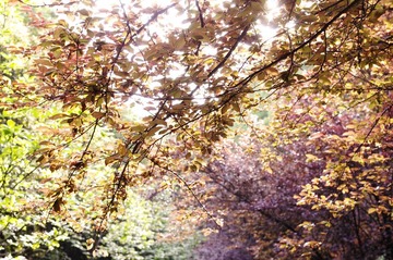 2012_04_16 16_44_39.jpg