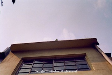 35RD1_11
