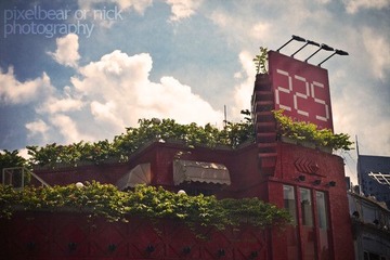 IMG_9300