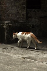 IMG_5601