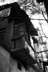 IMG_5604