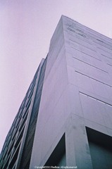 29960015.jpg