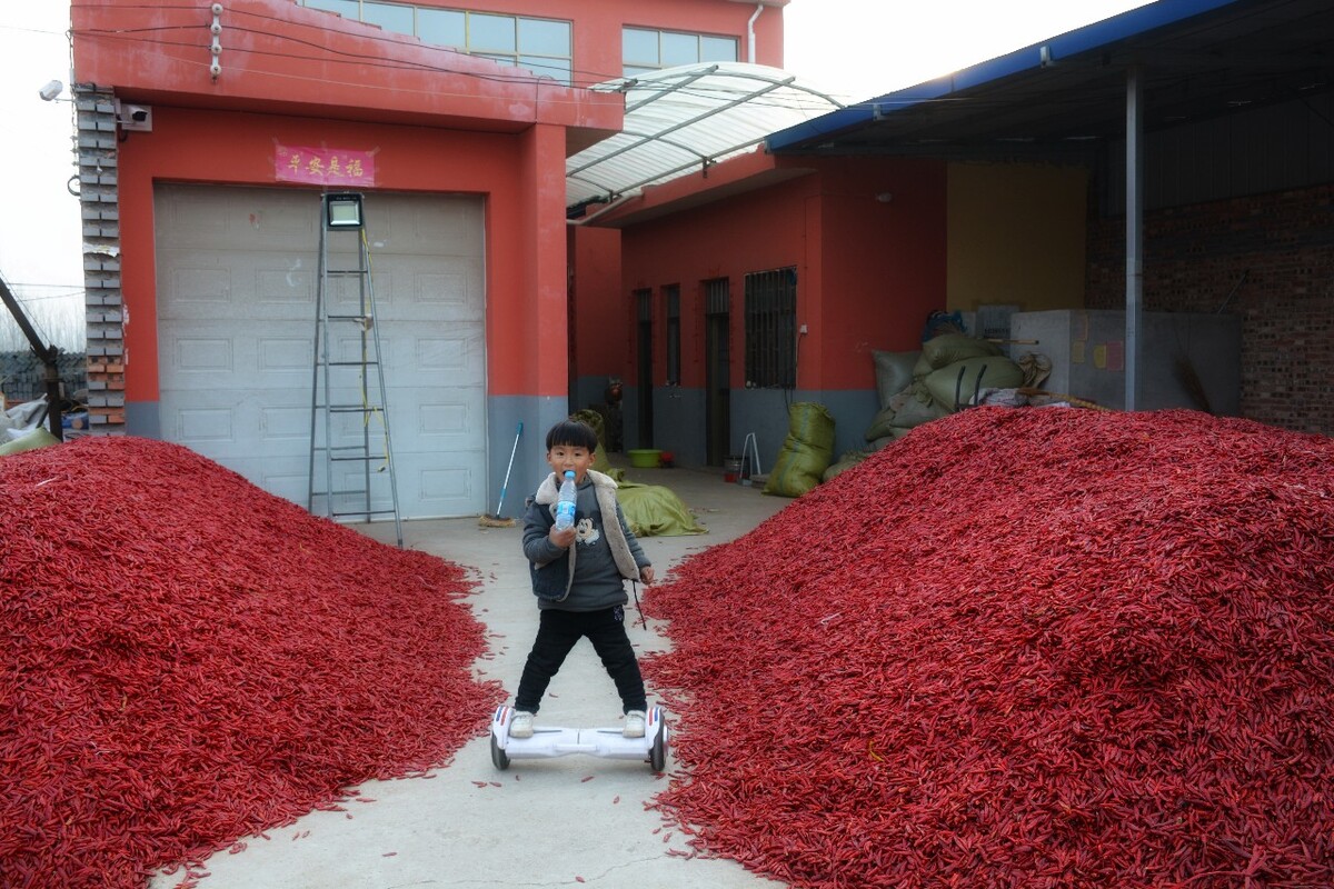 中国辣椒市场