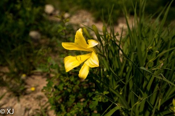 001