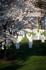 @Arlington National Cemetary