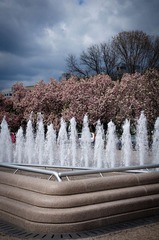 @National Gallery of Art, DC