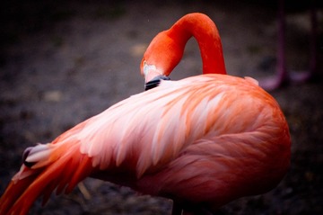 @National Zoo, DC