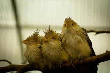 @National Zoo, DC