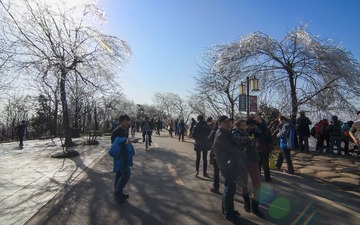 IMG_2135.jpg