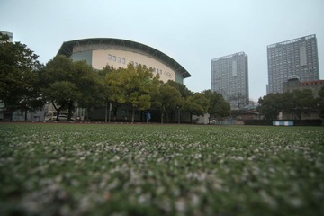IMG_2478.jpg