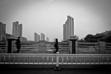 P1030094.jpg