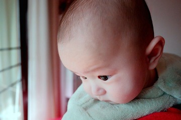 P1040478-编辑.jpg
