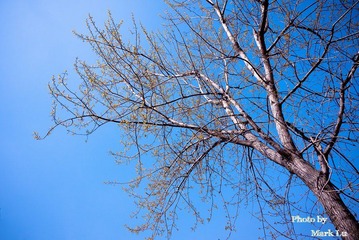 P1010075.jpg