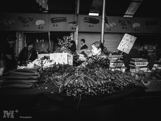 20150403-P1080628